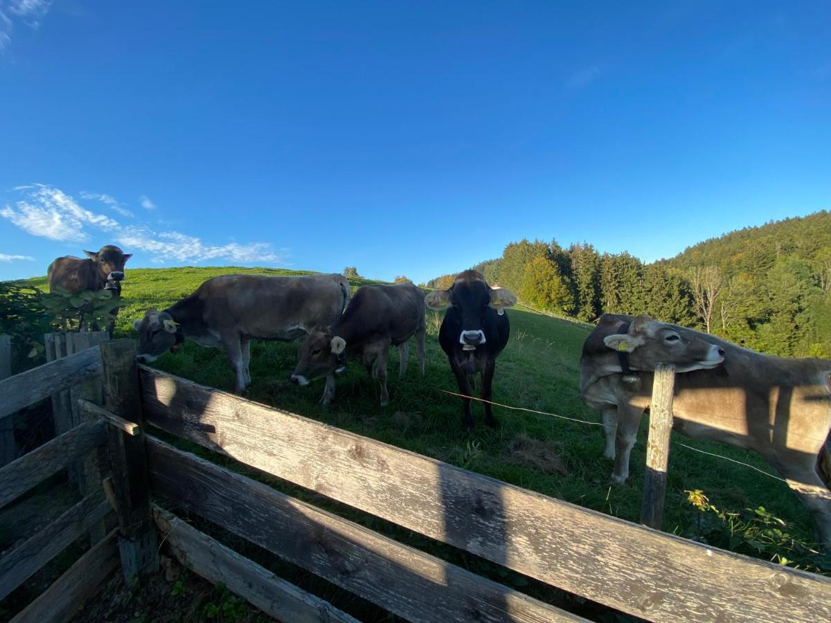 Ferienwohnung Bergblick Wangen Im Allgaeu Mit Garten, 2022 Komplett Renoviert Bagian luar foto